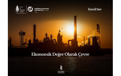 Ekonomik Değer Olarak Çevre