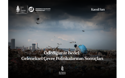 Ödediğimiz Bedel: Geleneksel Çevre Politikalarının Sonuçları