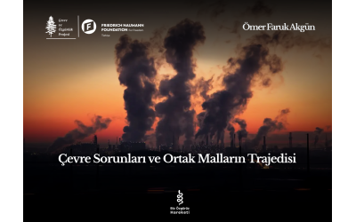 Çevre Sorunları ve Ortak Malların Trajedisi