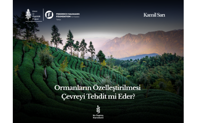 Ormanların Özelleştirilmesi Çevreyi Tehdit mi Eder?