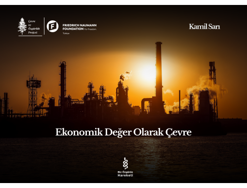 Ekonomik Değer Olarak Çevre
