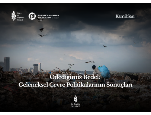 Ödediğimiz Bedel: Geleneksel Çevre Politikalarının Sonuçları
