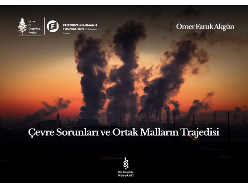 Çevre Sorunları ve Ortak Malların Trajedisi