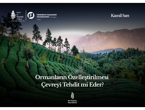 Ormanların Özelleştirilmesi Çevreyi Tehdit mi Eder?