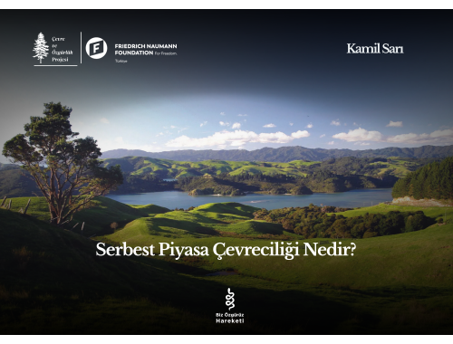Serbest Piyasa Çevreciliği Nedir?