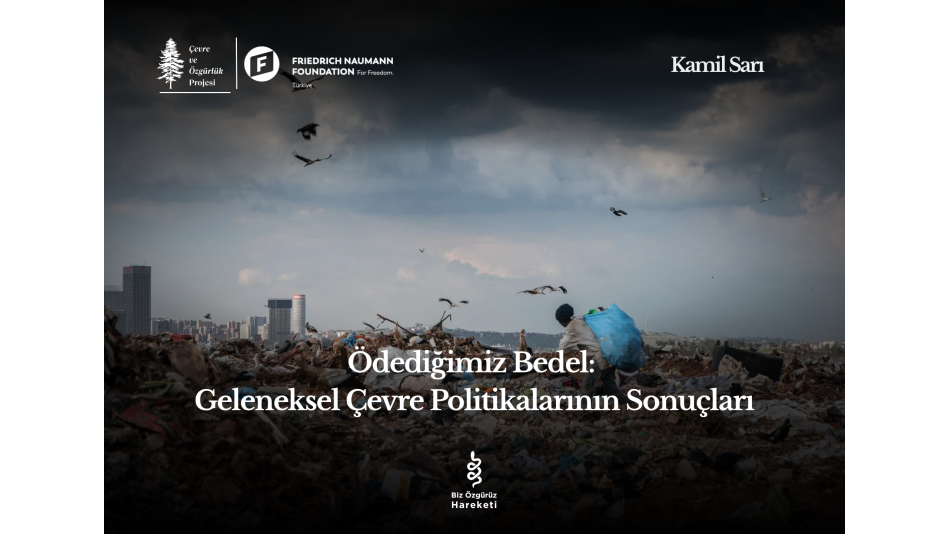Ödediğimiz Bedel: Geleneksel Çevre Politikalarının Sonuçları