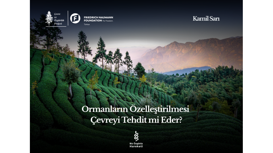 Ormanların Özelleştirilmesi Çevreyi Tehdit mi Eder?