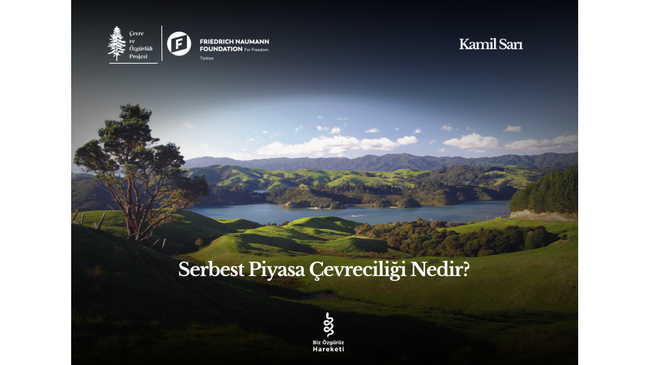 Serbest Piyasa Çevreciliği Nedir?